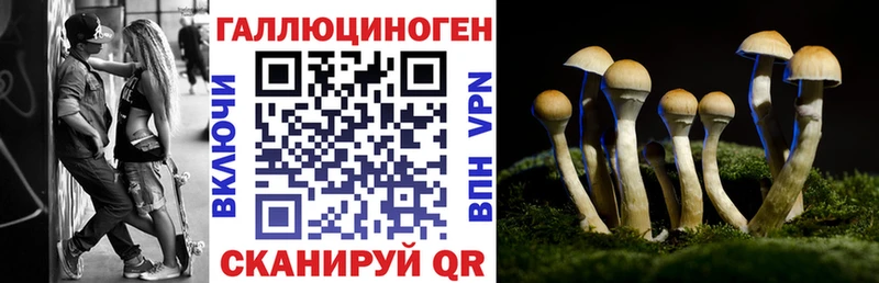 Псилоцибиновые грибы мухоморы  Абдулино 